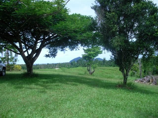 Lot 2 Tully/Mission Beach Road, MISSION BEACH QLD 4852, Mission Beach - Thumbnail 4