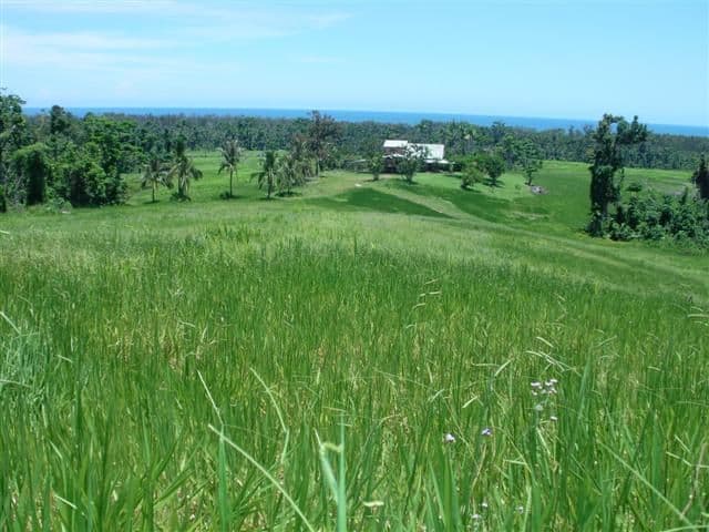 Lot 2 Tully/Mission Beach Road, MISSION BEACH QLD 4852, Mission Beach - Thumbnail 7