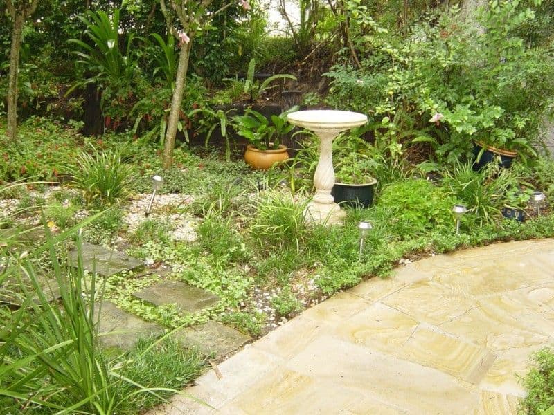 15 Hazelmere Parade, SHERWOOD QLD 4075, Sherwood - Thumbnail 6