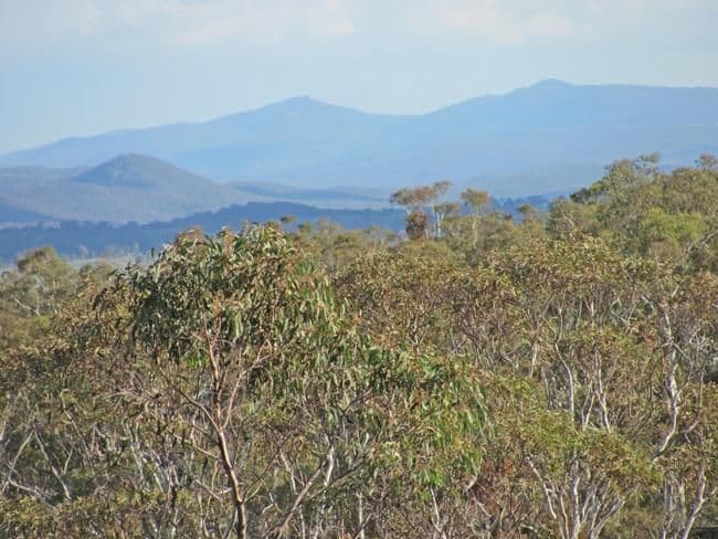 371 Neils Creek Road, BUNGENDORE NSW 2621, Bungendore - Thumbnail 2