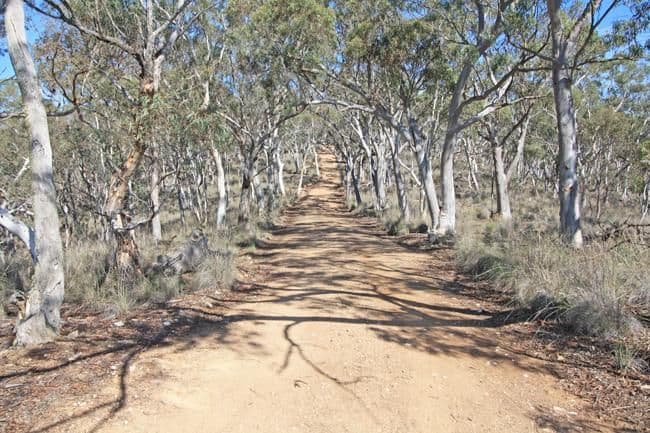 371 Neils Creek Road, BUNGENDORE NSW 2621, Bungendore - Thumbnail 4