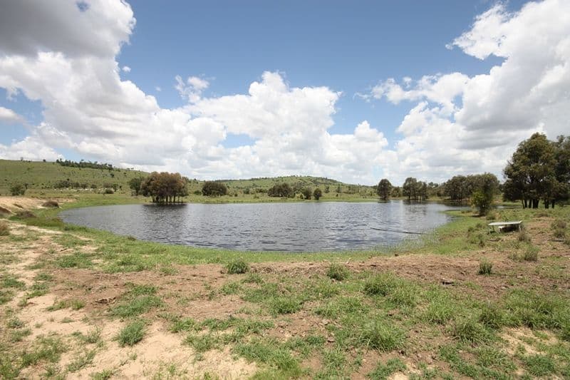 36 Baths Road, BILOELA QLD 4715, Biloela - Thumbnail 7