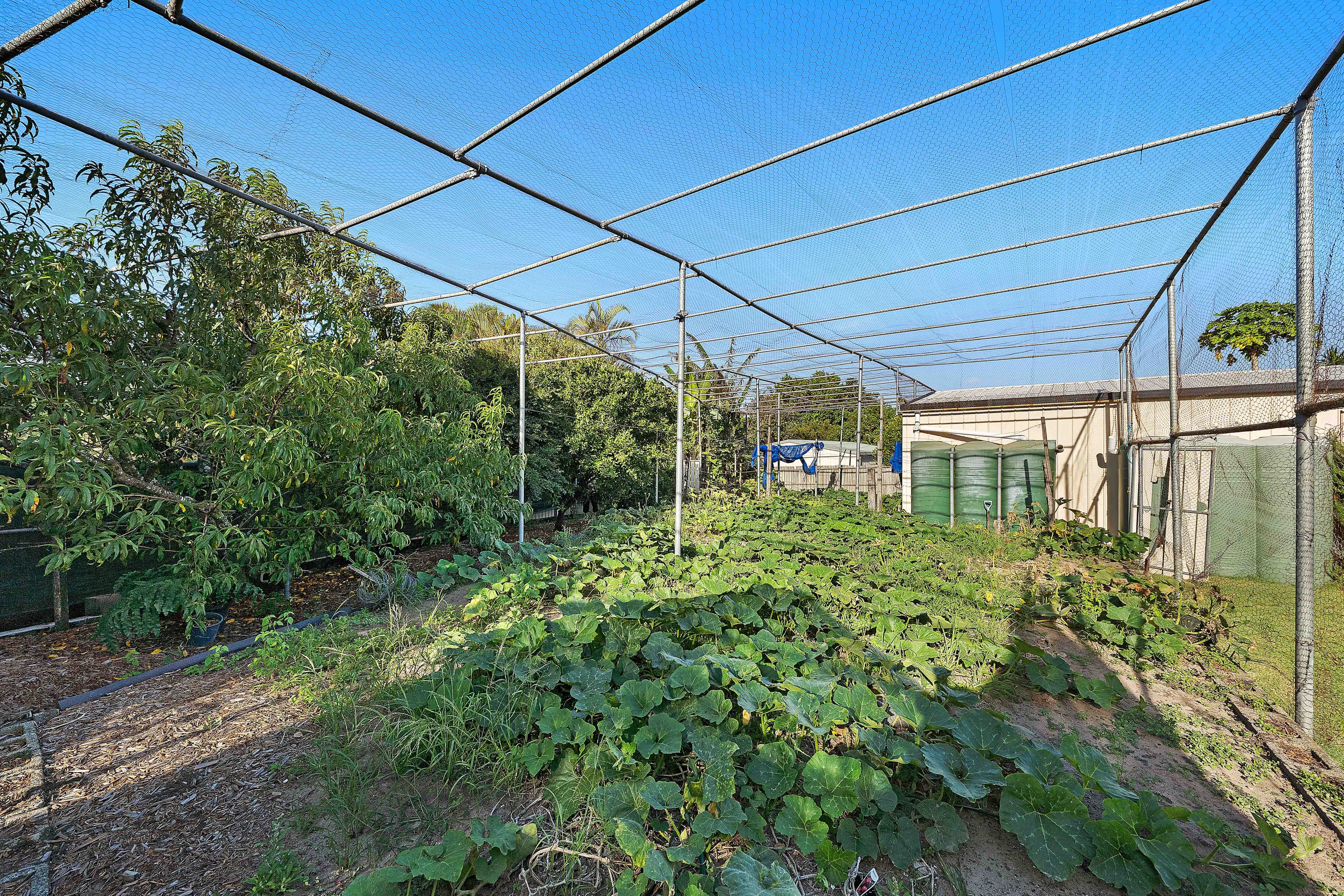 228 Canningvale Road, Canningvale - Thumbnail 8