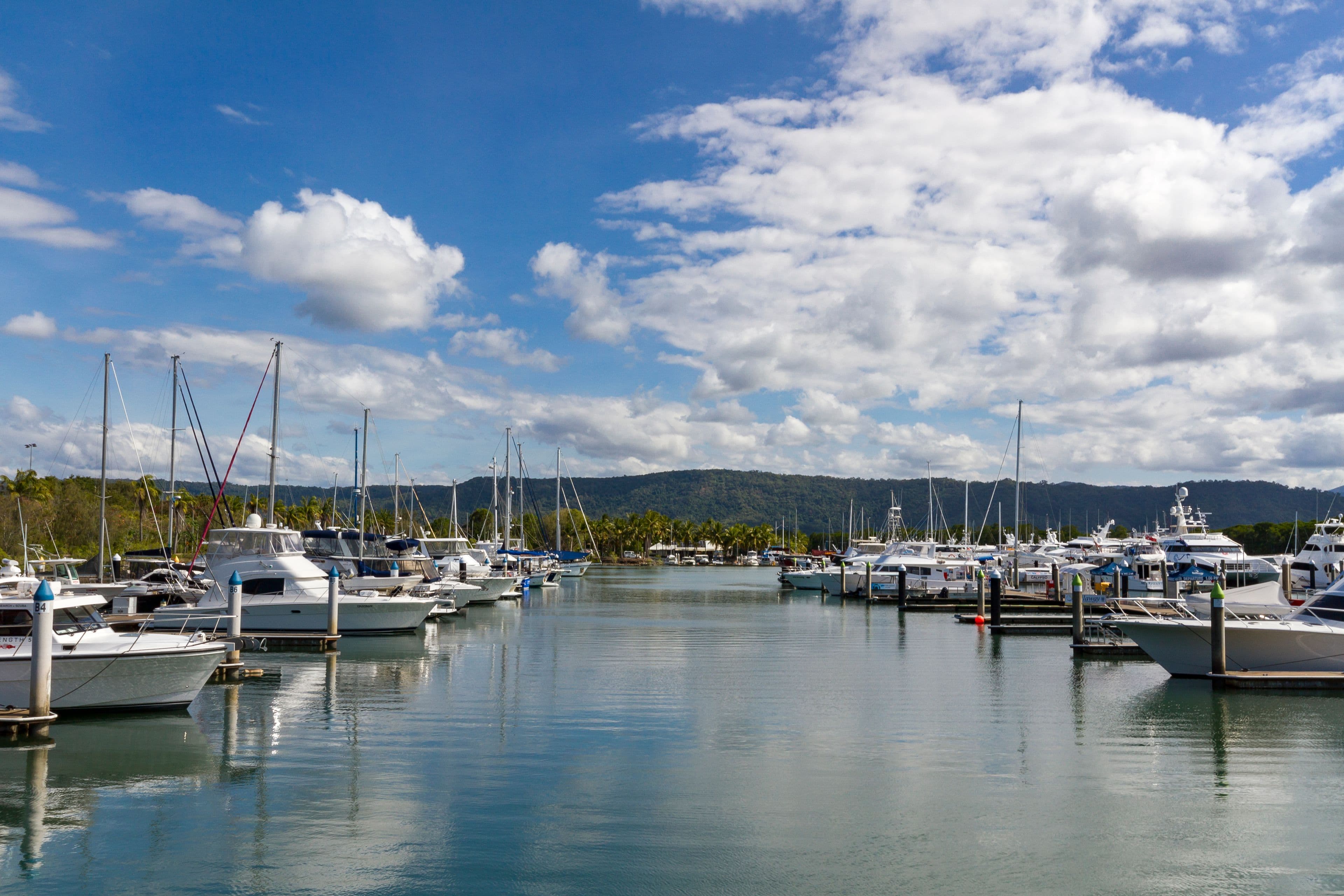 20 Langley Road, Port Douglas QLD 4877, Port Douglas - Thumbnail 5