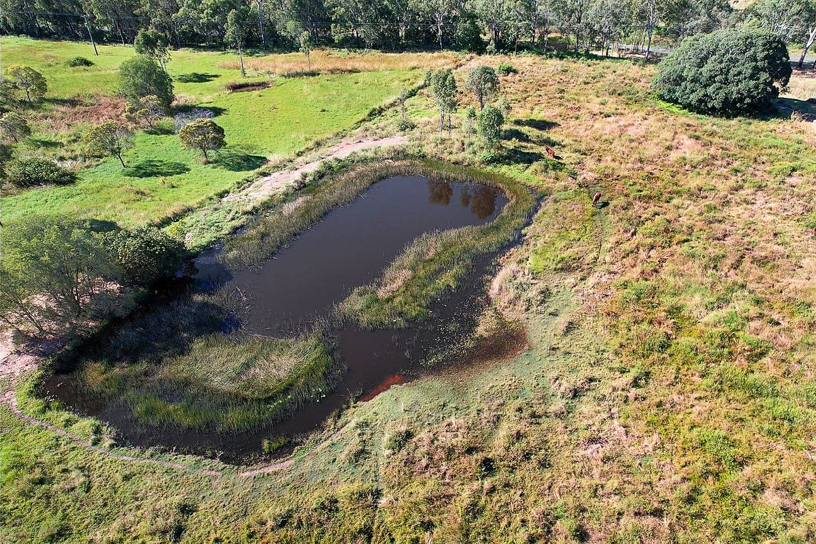 1285 Hills Road, Euleilah QLD 4674, Euleilah - Thumbnail 7