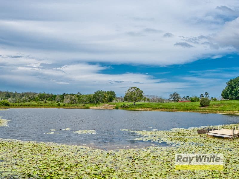 Proposed Lot 1 93 Camfin Road, Clear Mountain QLD 4500, Clear Mountain - Thumbnail 6