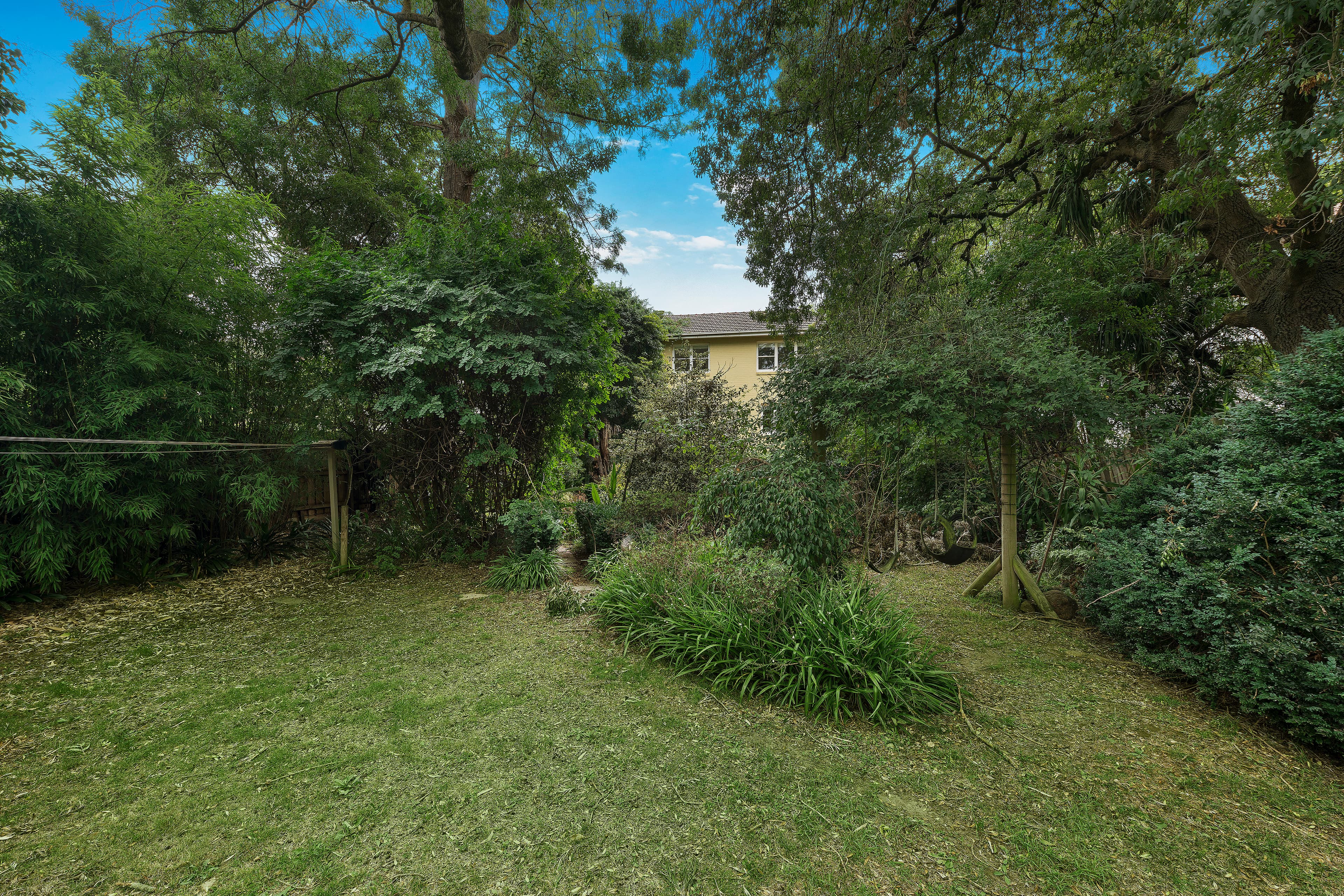 50 Boisdale Street, Surrey Hills VIC 3127, Surrey Hills - Thumbnail 4