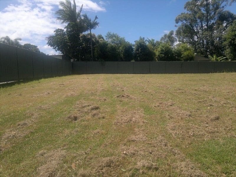 8 Conifer Street, DAISY HILL QLD 4127, Daisy Hill - Image 1