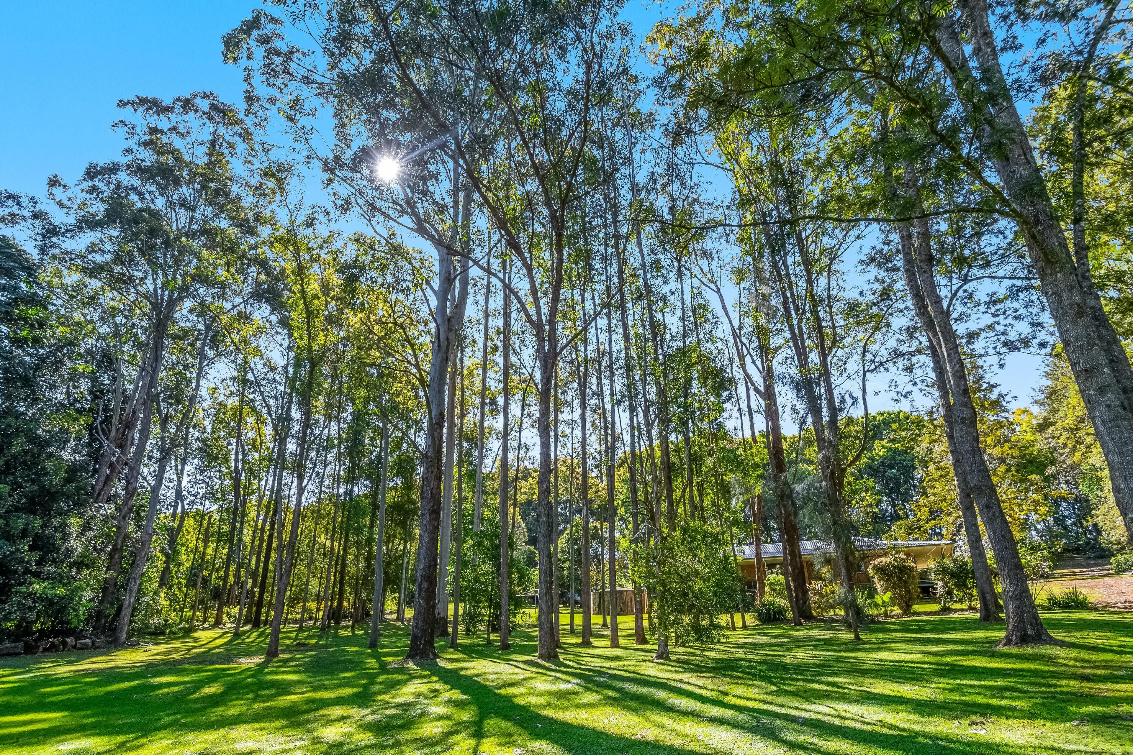 60 Federal Drive, Eureka NSW 2480, Eureka - Image 1