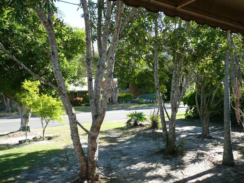45 Kurrajong Avenue, Cabarita Beach NSW 2488, Cabarita Beach - Thumbnail 7
