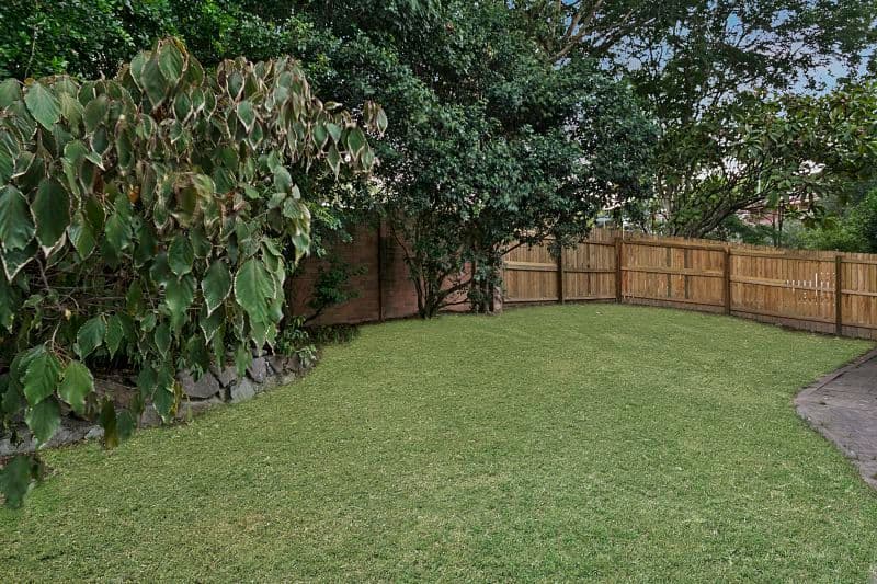 17 Leander Street, Chapel Hill QLD 4069, Chapel Hill - Thumbnail 4