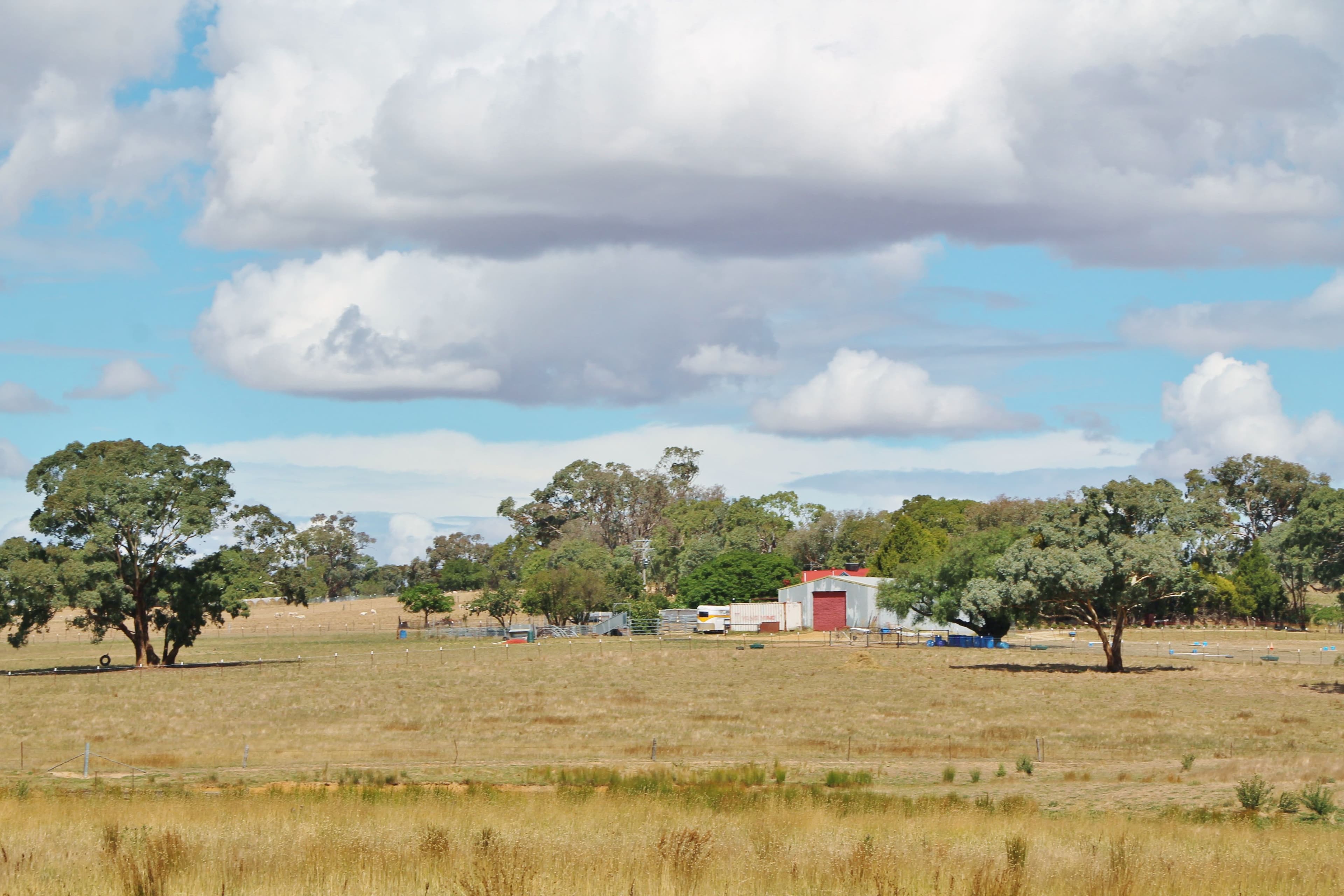 161 Bonnington Road Kingsvale via, YOUNG NSW 2594, Young - Image 1