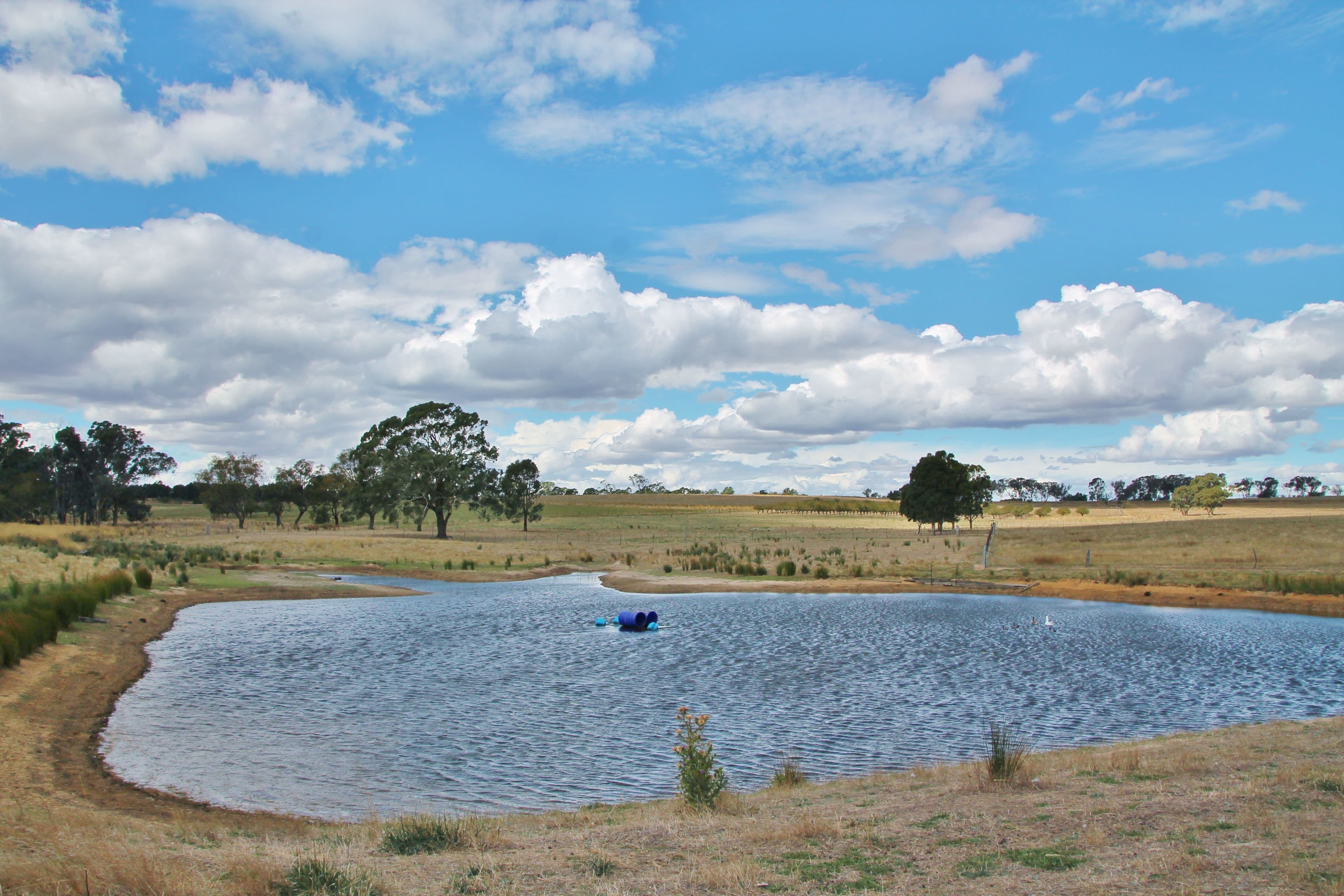 161 Bonnington Road Kingsvale via, YOUNG NSW 2594, Young - Thumbnail 3