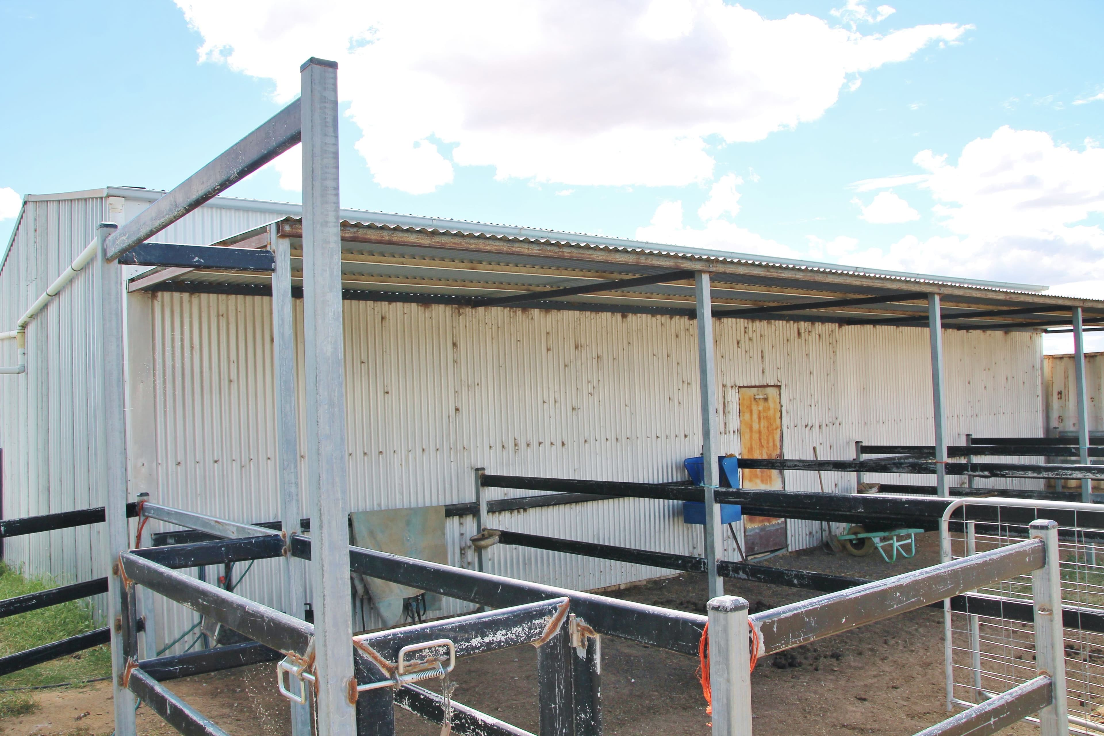 161 Bonnington Road Kingsvale via, YOUNG NSW 2594, Young - Thumbnail 5