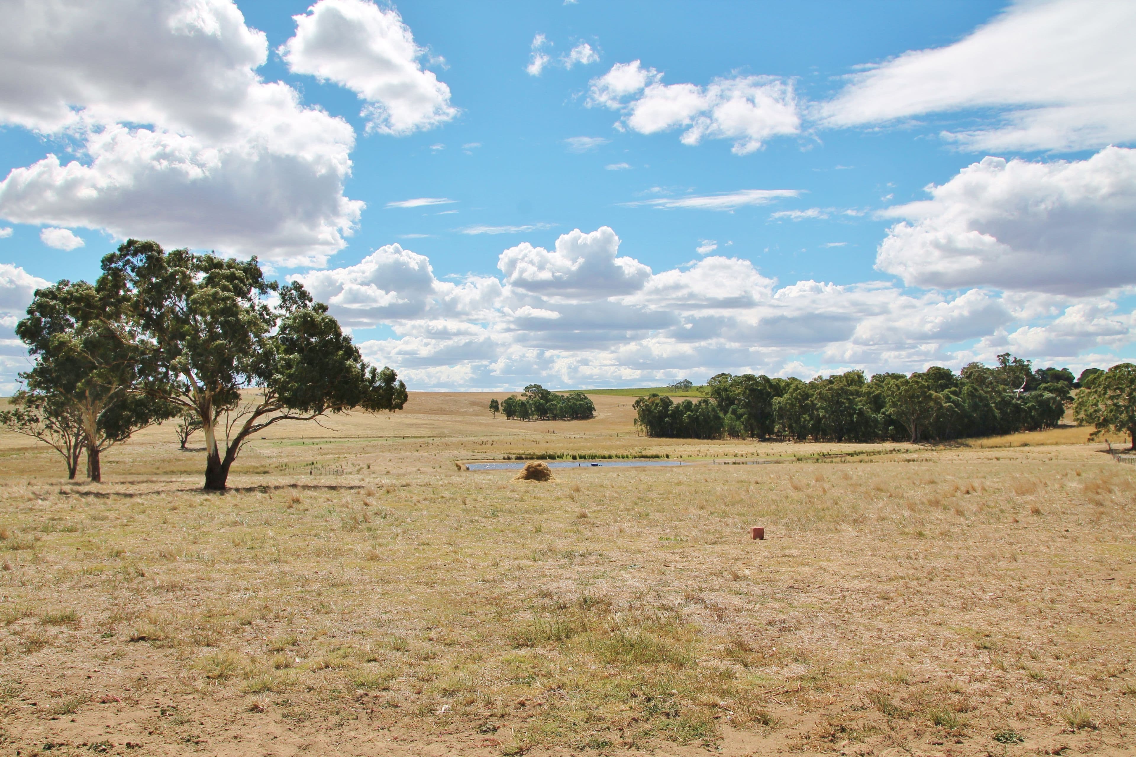 161 Bonnington Road Kingsvale via, YOUNG NSW 2594, Young - Thumbnail 8