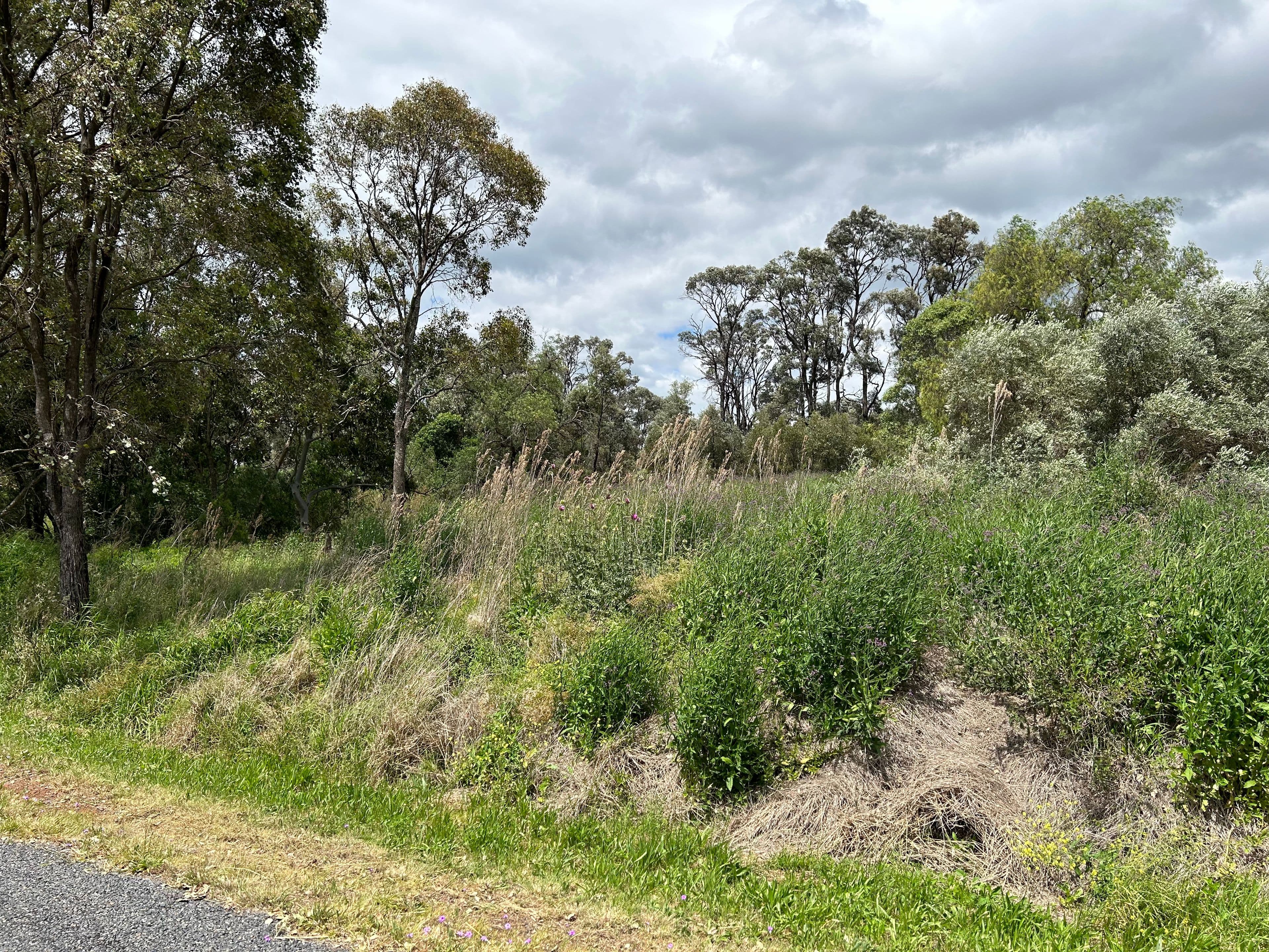 Brigalow Park School Road, MOUNT DARRY QLD 4352, Mount Darry - Thumbnail 2