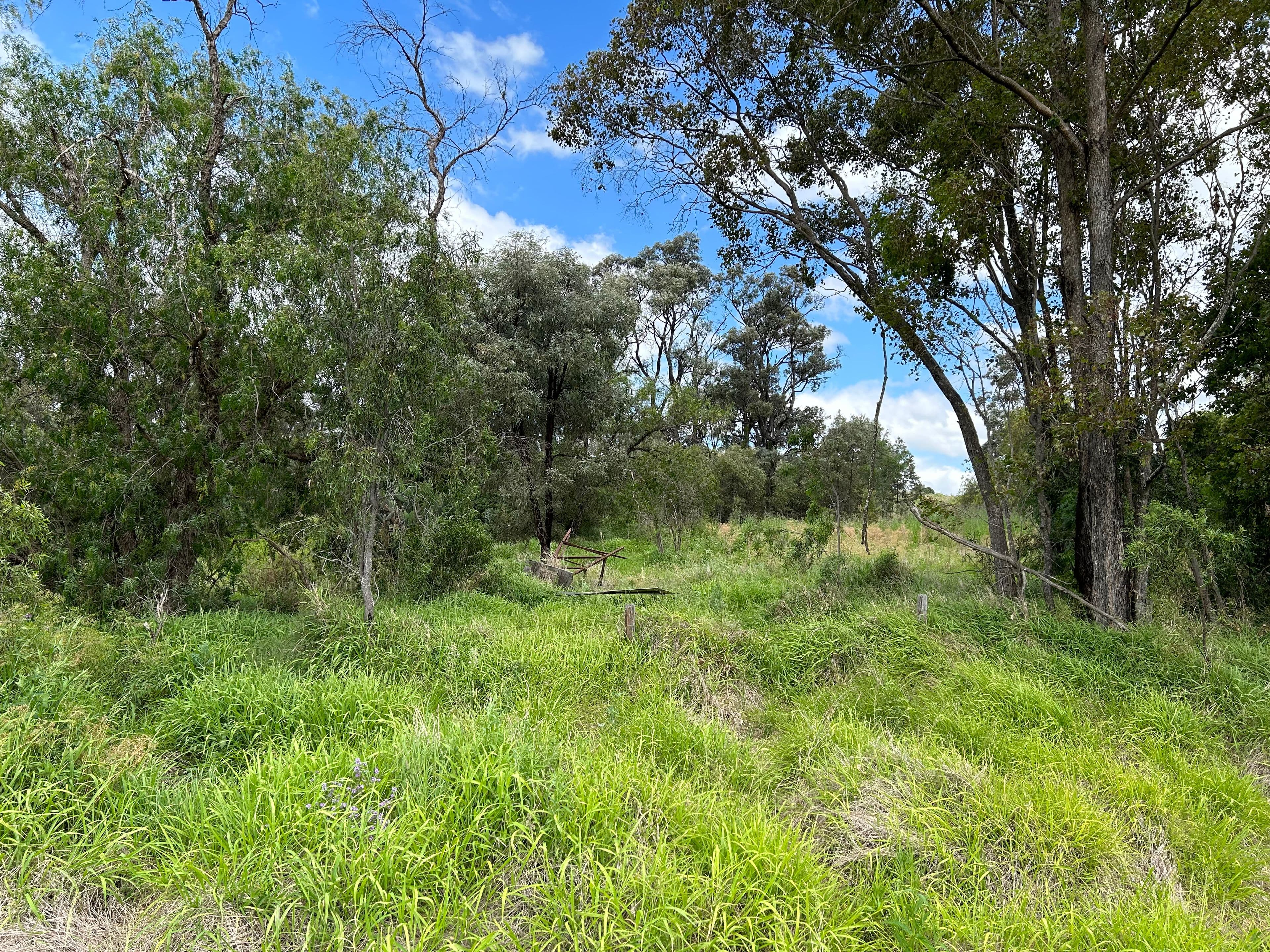 Brigalow Park School Road, MOUNT DARRY QLD 4352, Mount Darry - Thumbnail 4