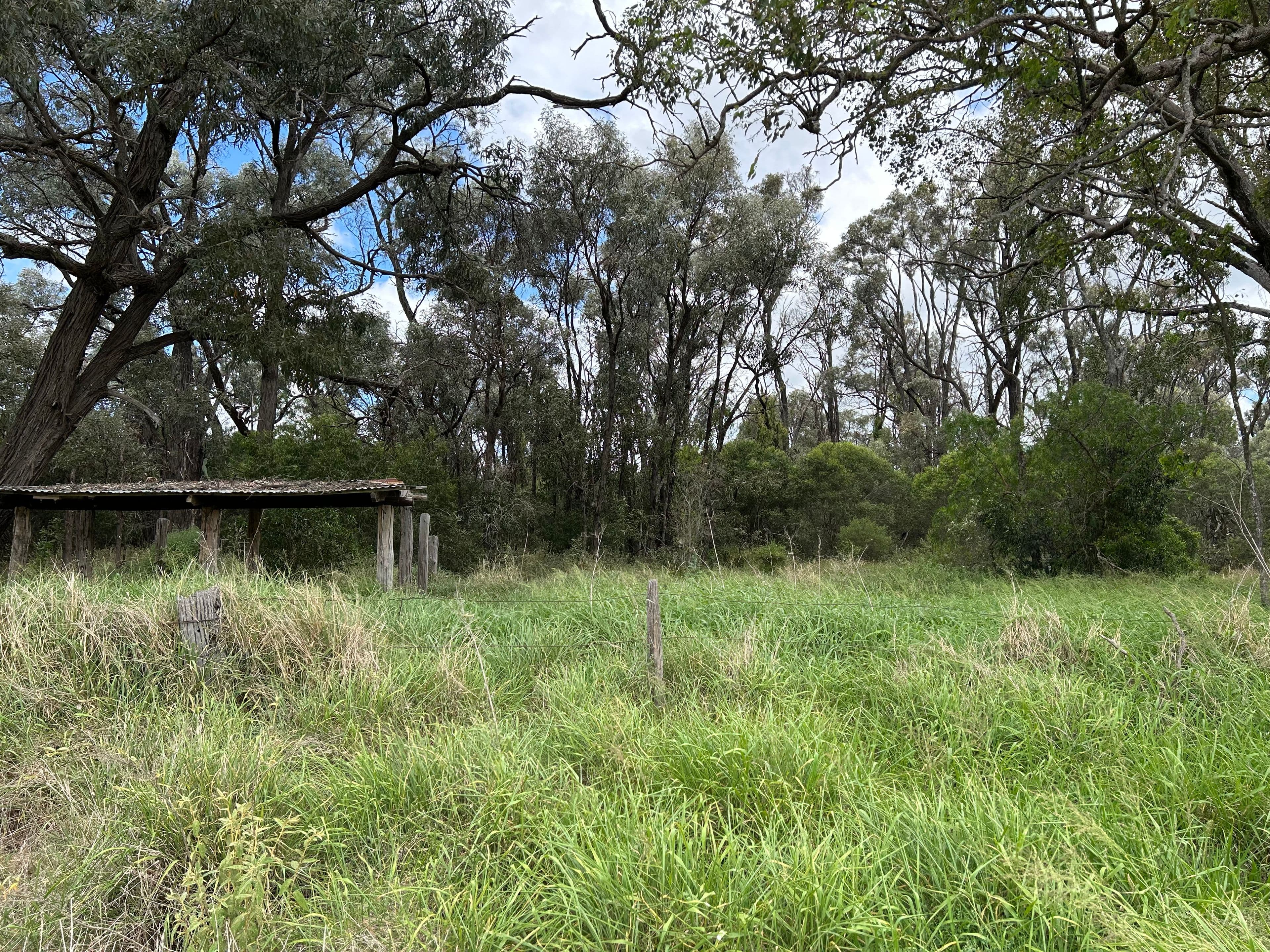 Brigalow Park School Road, MOUNT DARRY QLD 4352, Mount Darry - Thumbnail 7