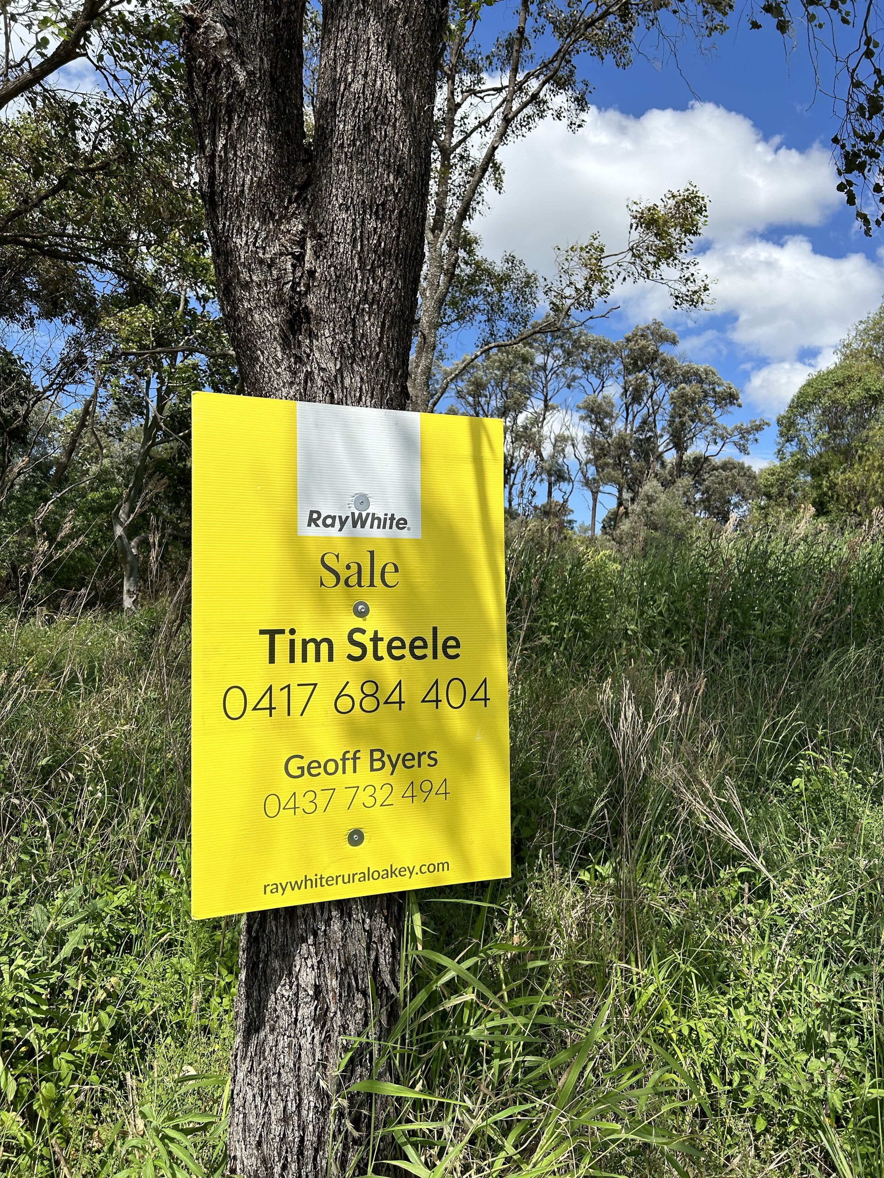 Brigalow Park School Road, MOUNT DARRY QLD 4352, Mount Darry - Thumbnail 8