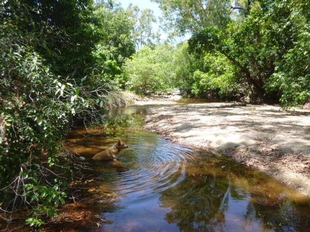 8 Mount Amos Road, Cooktown QLD 4895, Cooktown - Image 1