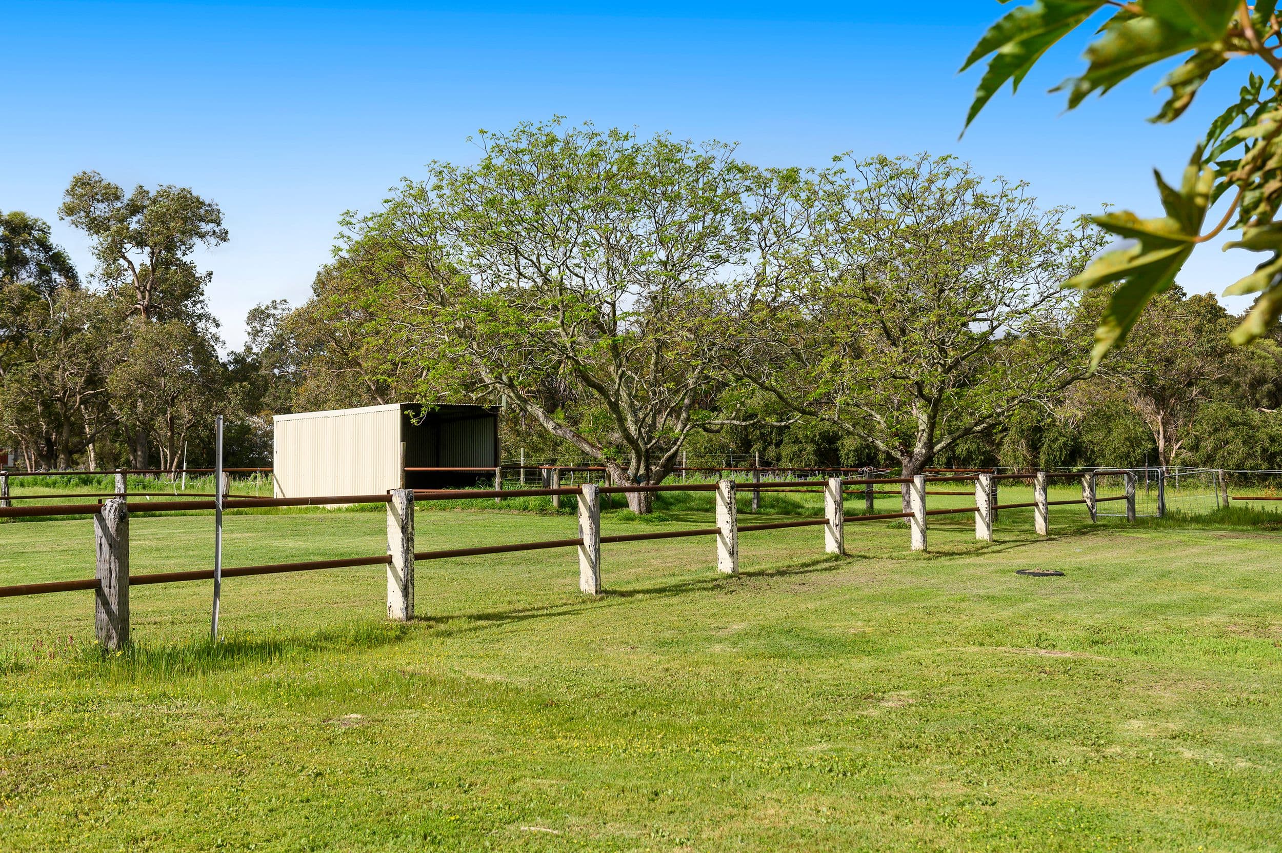 80 Old West Road, Bullsbrook WA 6084, Bullsbrook - Thumbnail 3