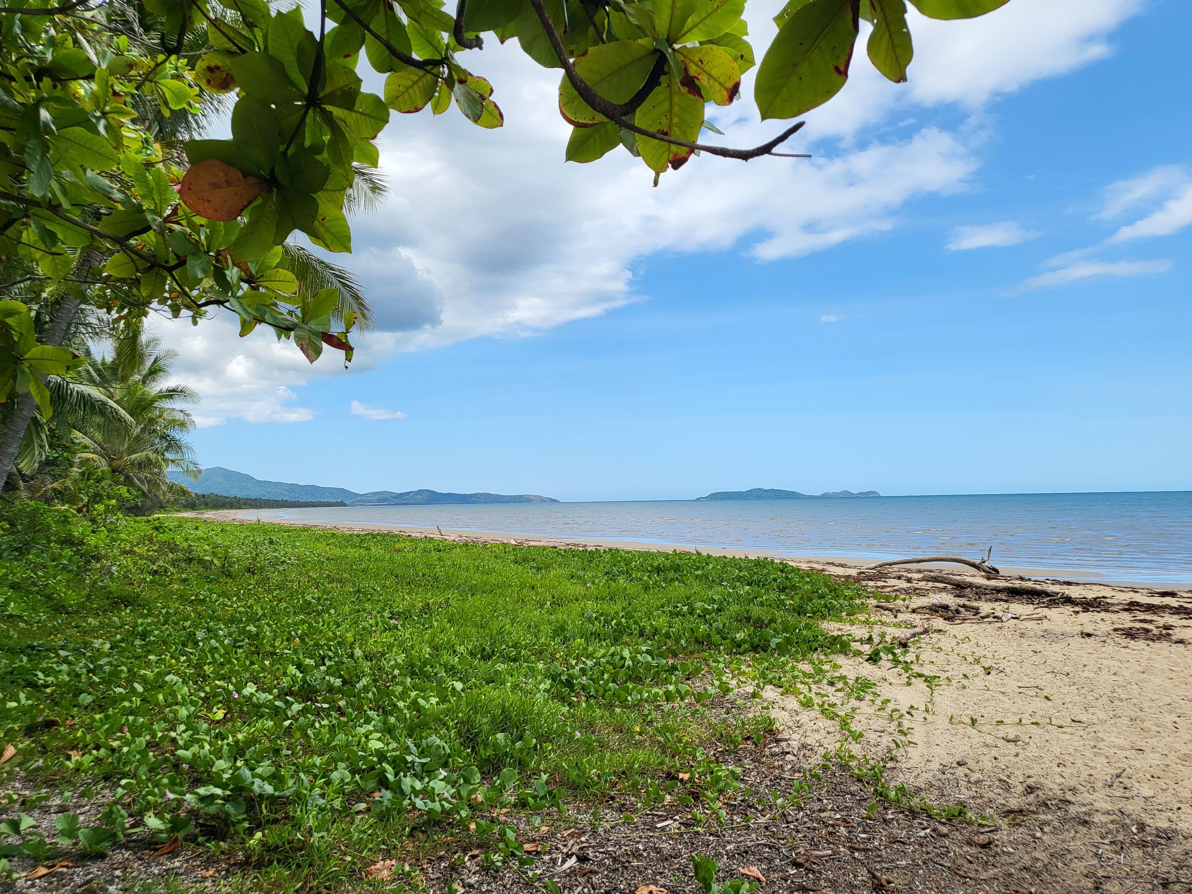 14 Dewal Close, Wonga Beach QLD 4873, Wonga Beach - Thumbnail 8