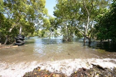 83 Coondooroopa Drive, MACLEAY ISLAND QLD 4184, Macleay Island - Thumbnail 2