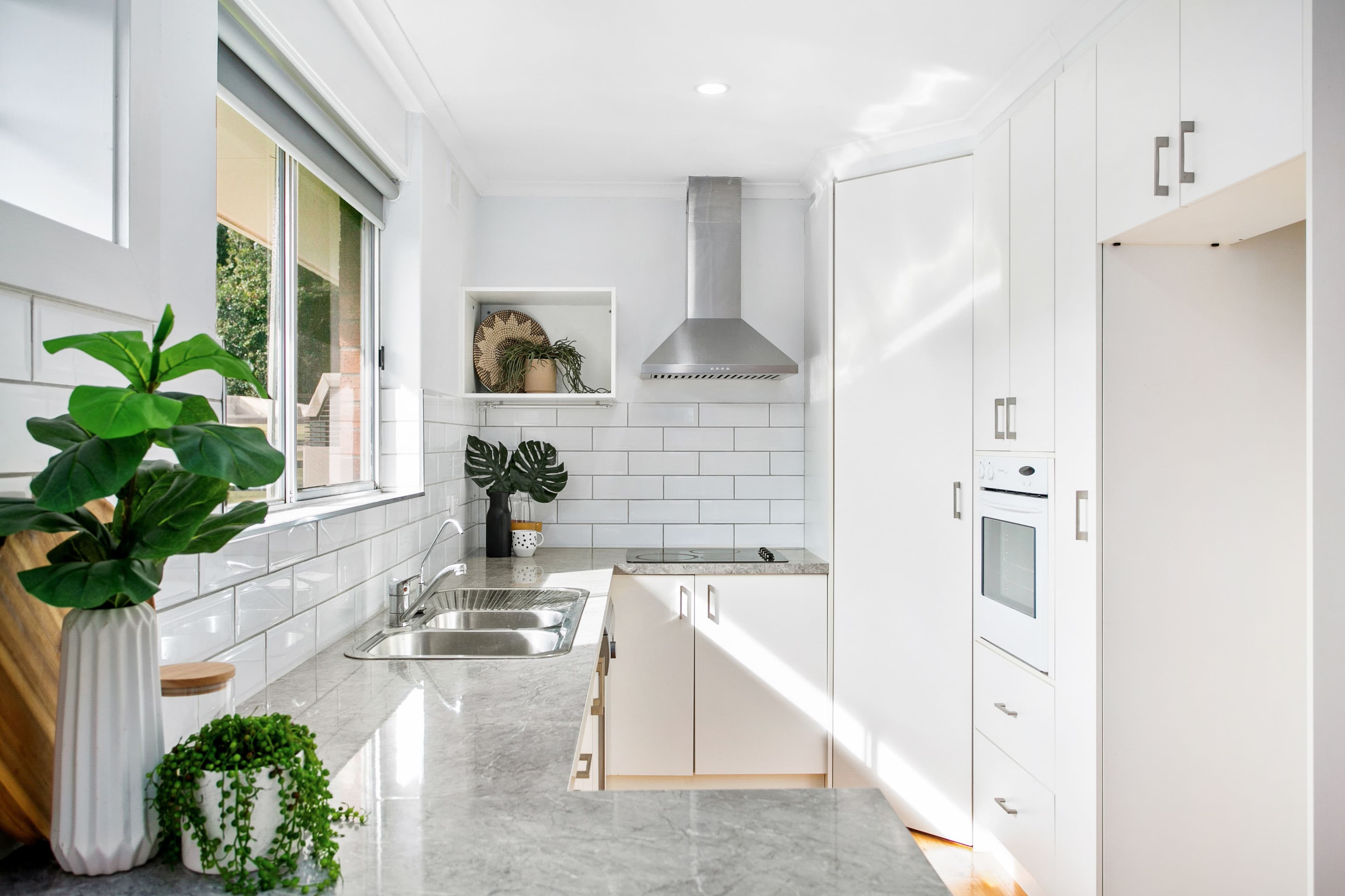 33 Boyle Street, Marion SA 5043, Marion - Thumbnail 6