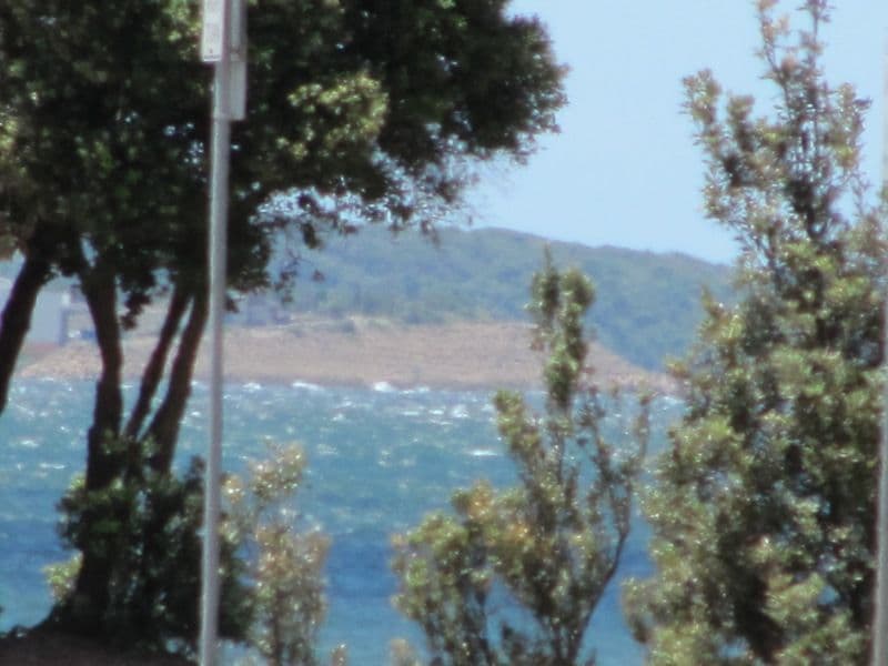 20 Bruce Street, BRIGHTON-LE-SANDS NSW 2216, Brighton-Le-Sands - Thumbnail 7