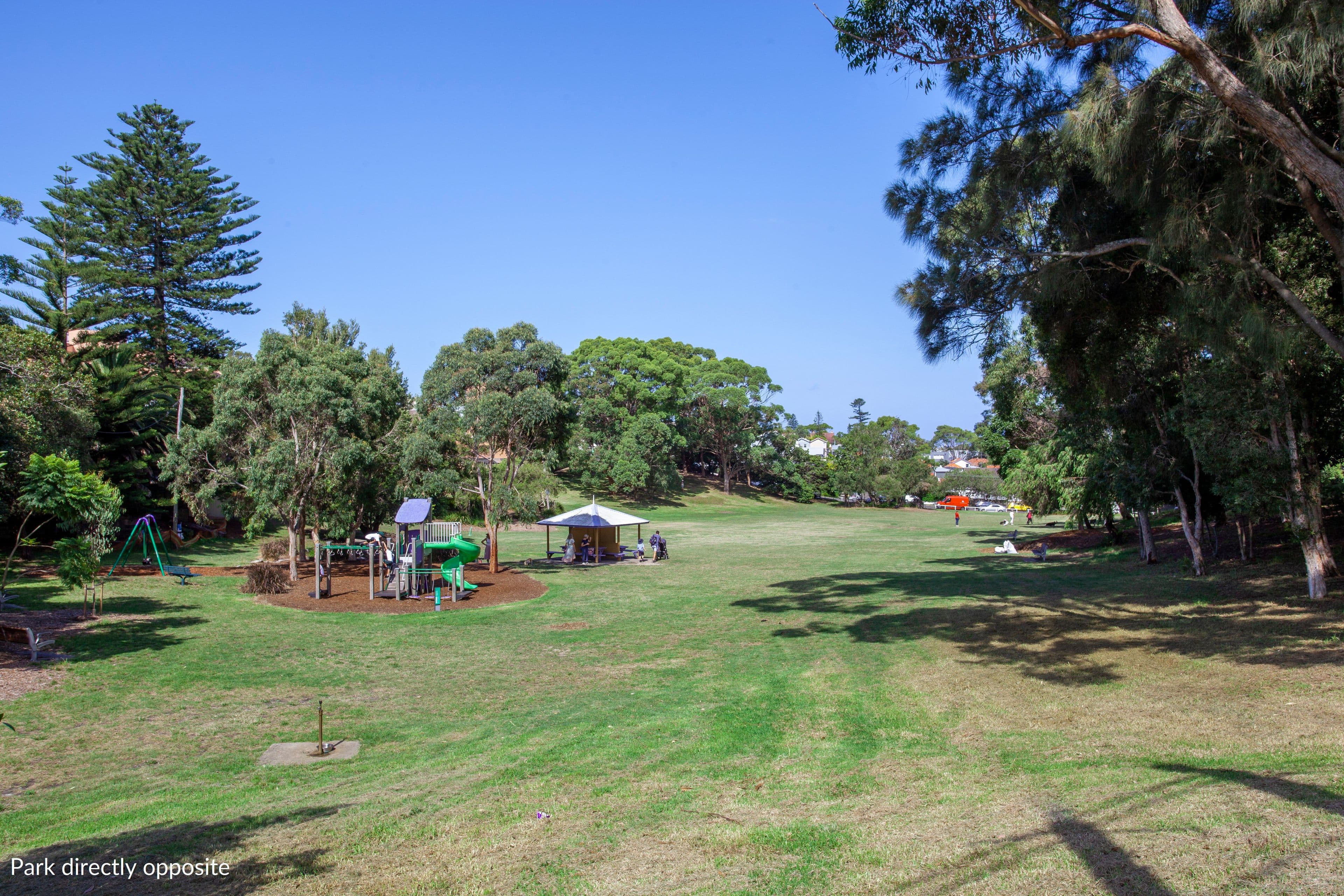 13 Wallace Street, Waverley NSW 2024, Waverley - Thumbnail 7