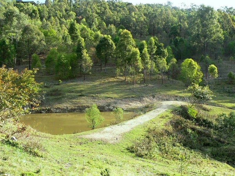 56 Galt Road, WILLOW VALE QLD 4209, Willow Vale - Thumbnail 5
