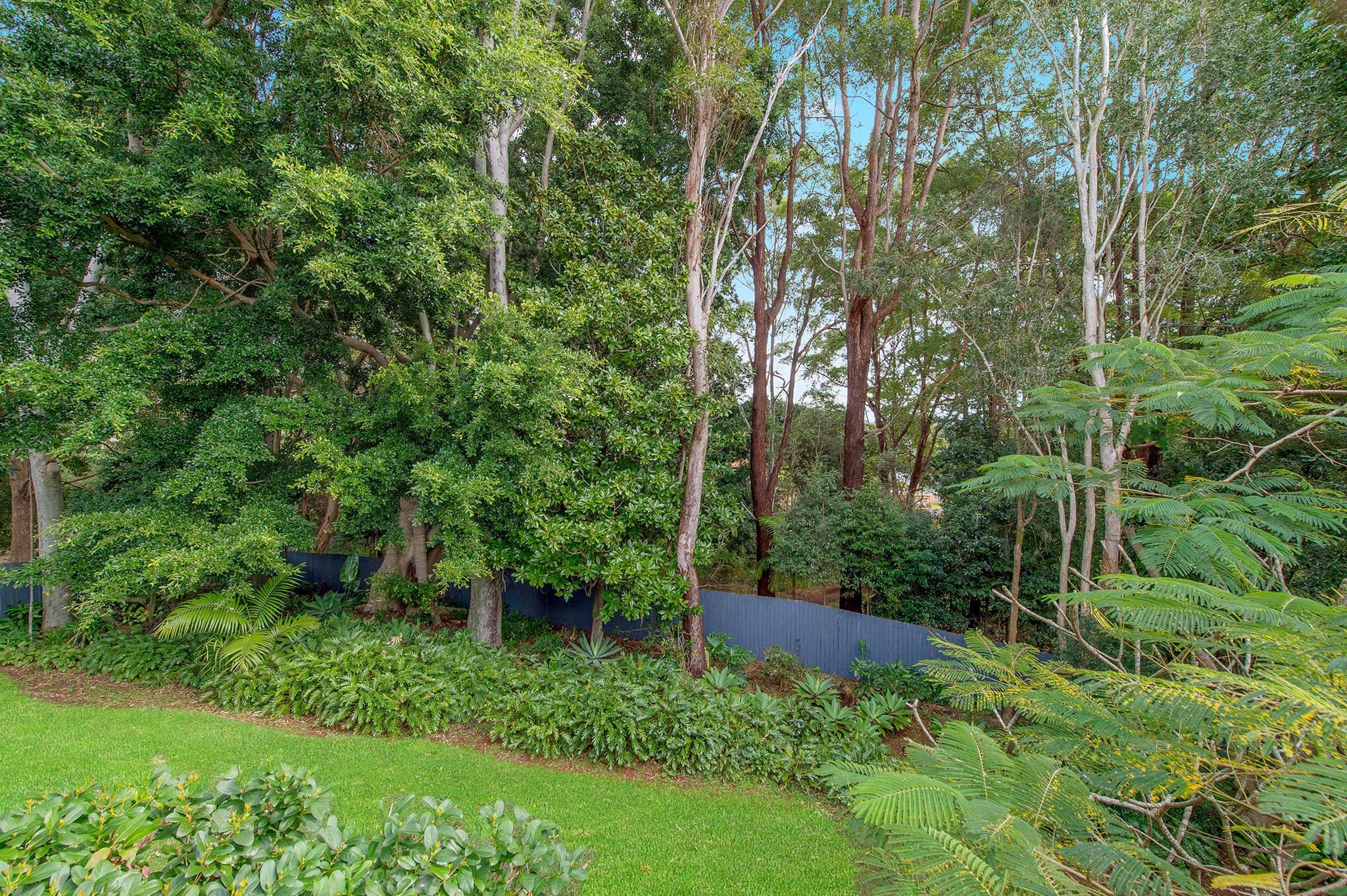 21 Treetop Crescent, Port Macquarie NSW 2444, Port Macquarie - Thumbnail 7