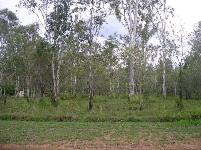 7 Cedar Court, BRIGHTVIEW QLD 4311, Brightview - Thumbnail 3