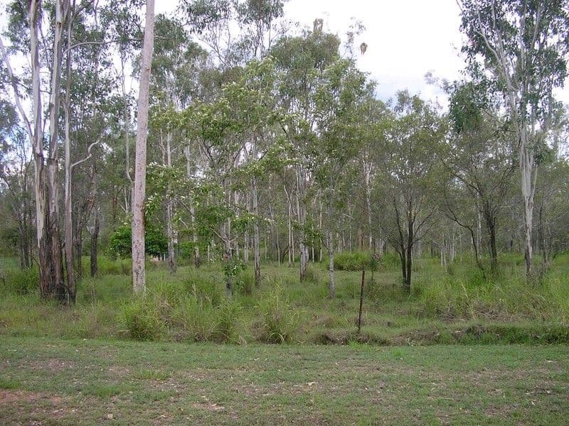 7 Cedar Court, BRIGHTVIEW QLD 4311, Brightview - Thumbnail 4