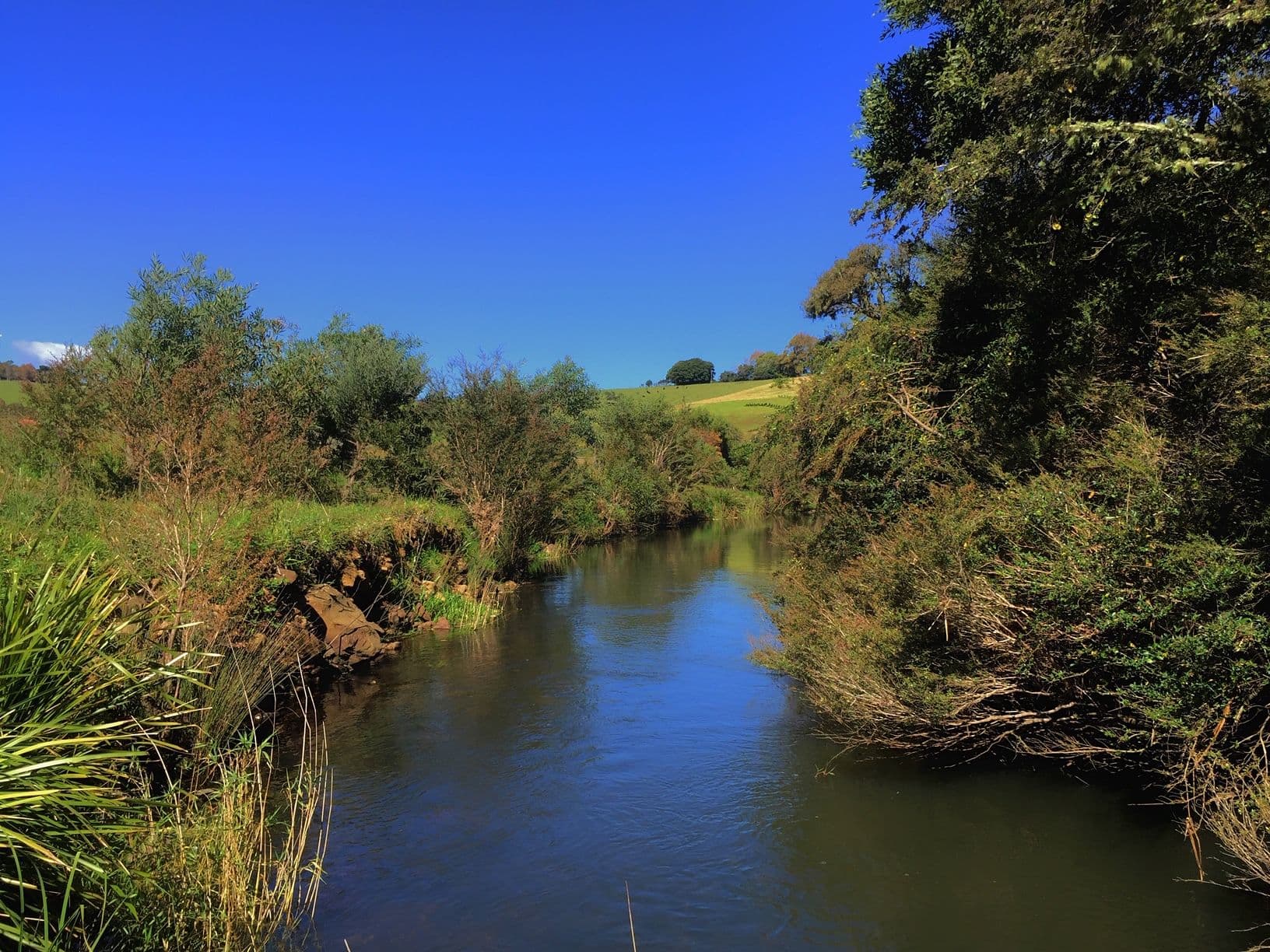 1A Mahogany Street, Dorrigo NSW 2453, Dorrigo - Thumbnail 5
