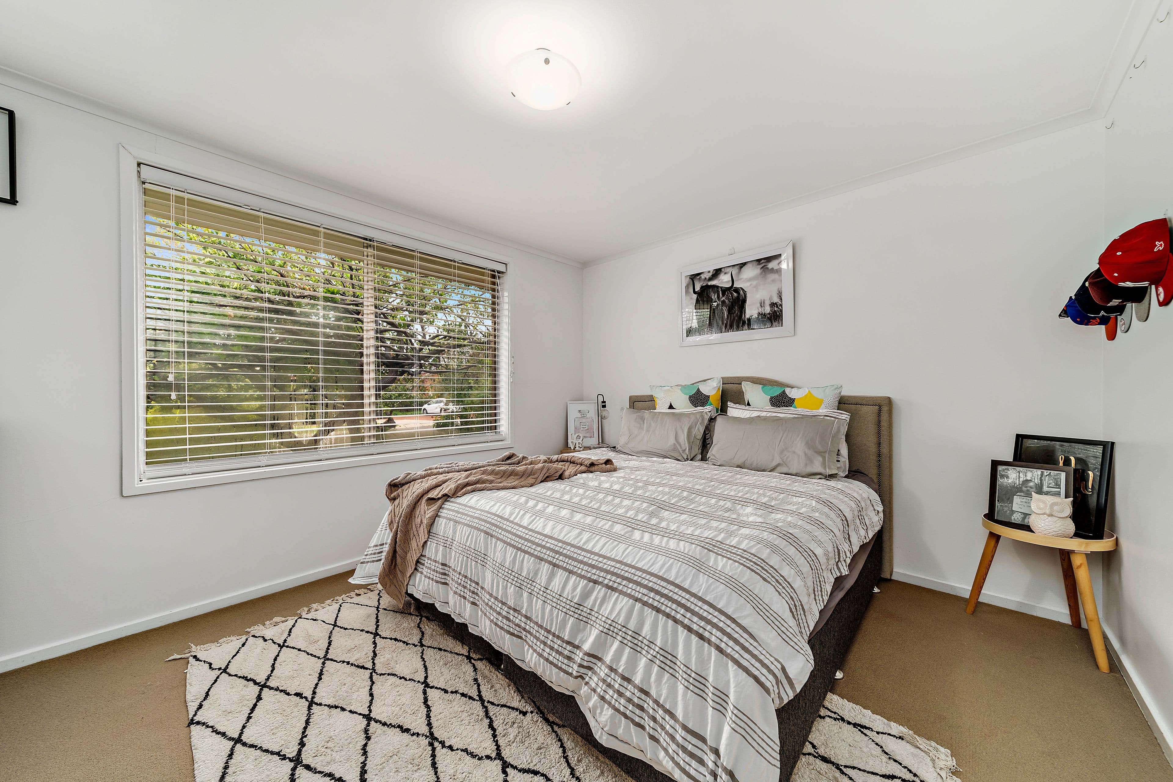 5 Boniwell Street, Higgins ACT 2615, Higgins - Thumbnail 7