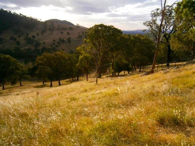 Lot 10 Goobarragandra Road, Tumut NSW 2720, Tumut - Thumbnail 8