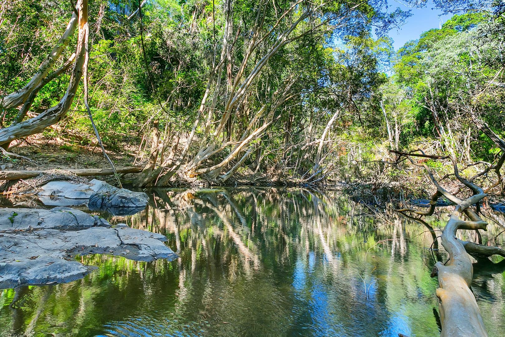 242 Ganyan Drive, Speewah QLD 4881, Speewah - Thumbnail 2