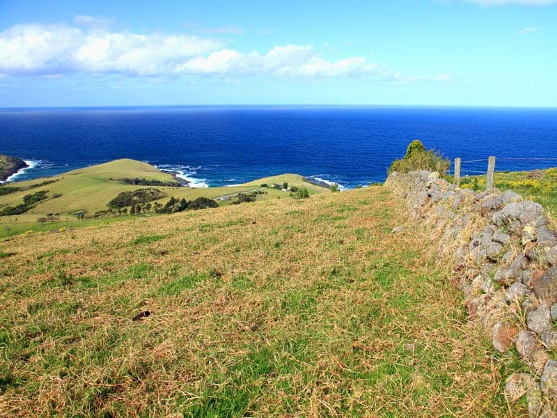 164 Princes Highway, KIAMA NSW 2533, Kiama Heights - Image 1