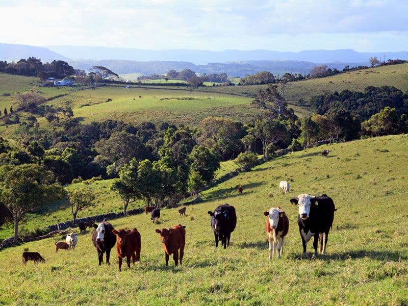 164 Princes Highway, KIAMA NSW 2533, Kiama Heights - Thumbnail 3