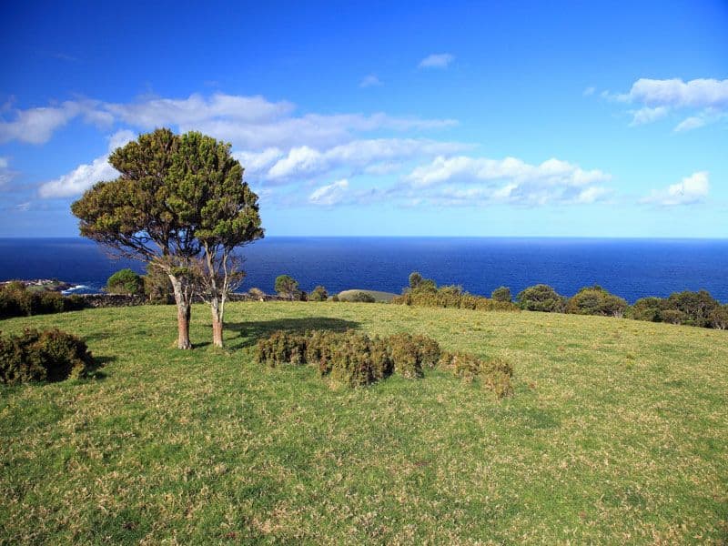 164 Princes Highway, KIAMA NSW 2533, Kiama Heights - Thumbnail 5