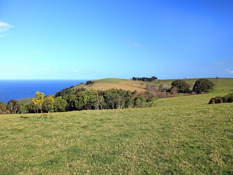 164 Princes Highway, KIAMA NSW 2533, Kiama Heights - Thumbnail 7