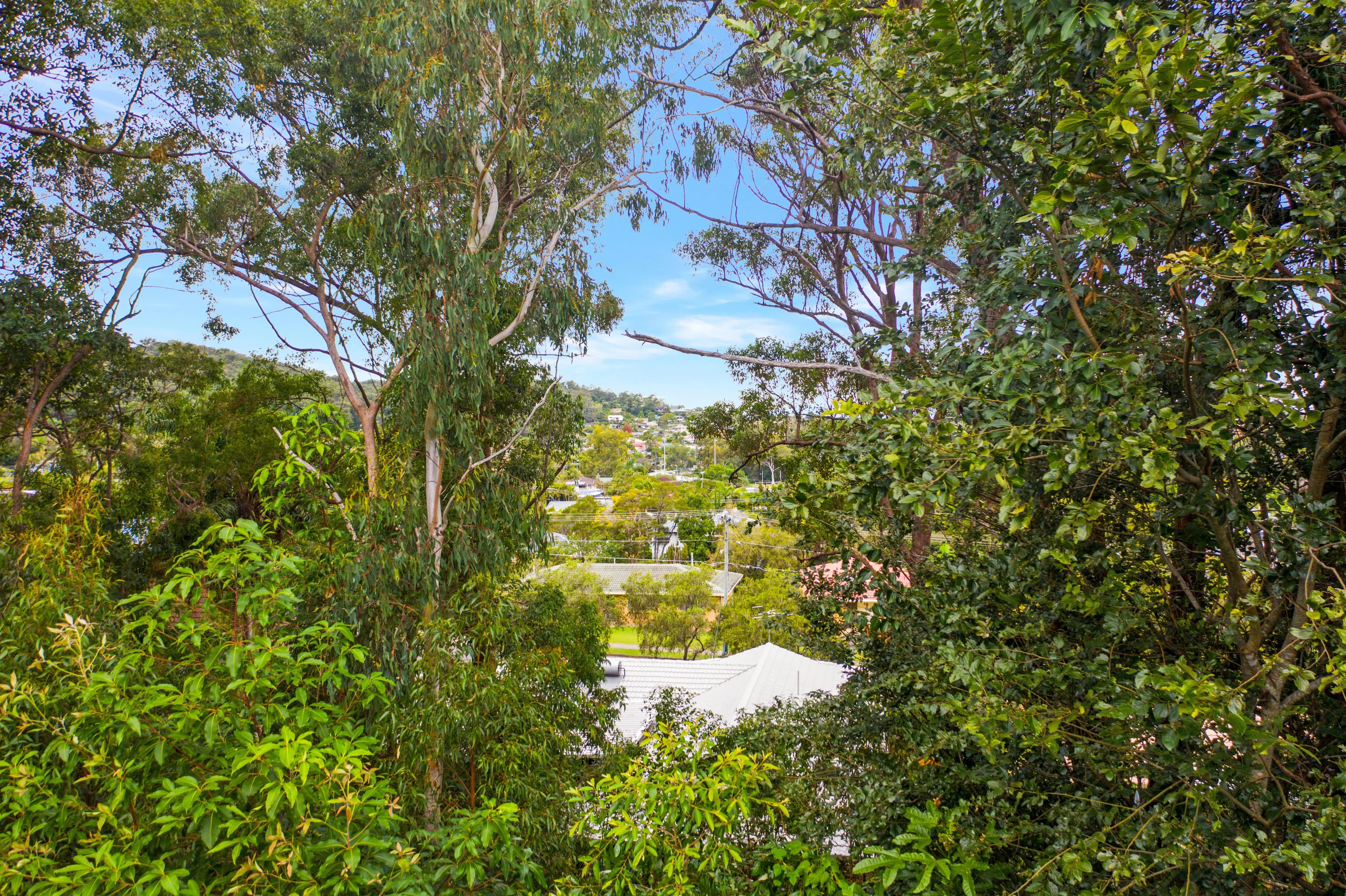 Lot 2, 67 Dennis Road, Springwood QLD 4127, Springwood - Thumbnail 3