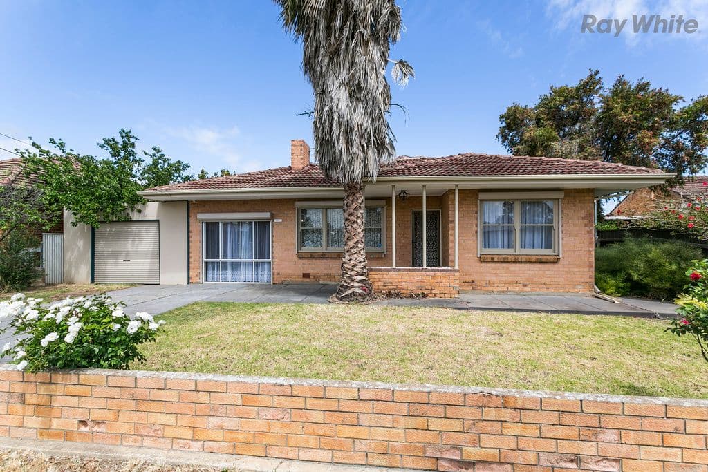 20 Tarranna Avenue, Park Holme SA 5043, Park Holme - Thumbnail 2