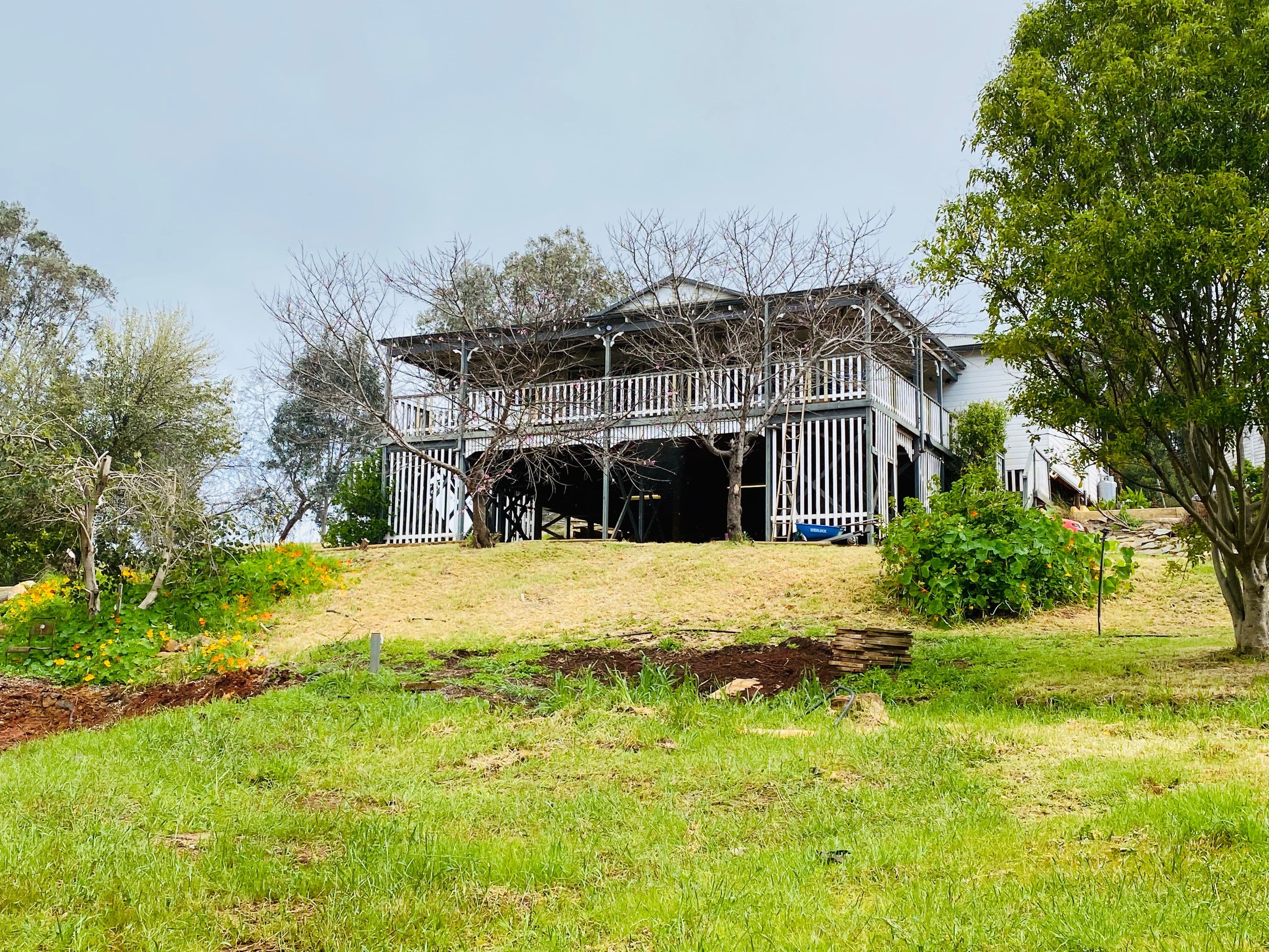 113 Edelweiss Heights, Bullsbrook WA 6084, Bullsbrook - Thumbnail 2