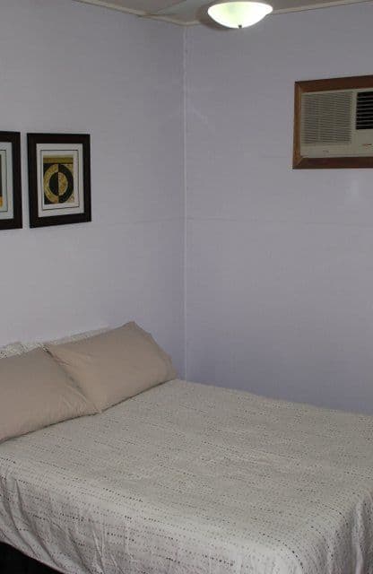 169 King Street, Charleville QLD 4470, Charleville - Thumbnail 6