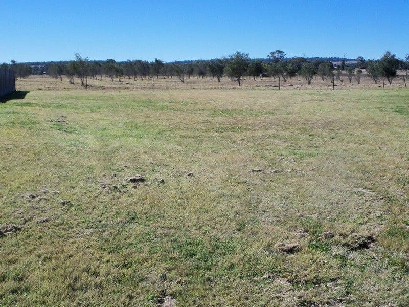 10 Olive Grove, KINGAROY QLD 4610, Kingaroy - Image 1