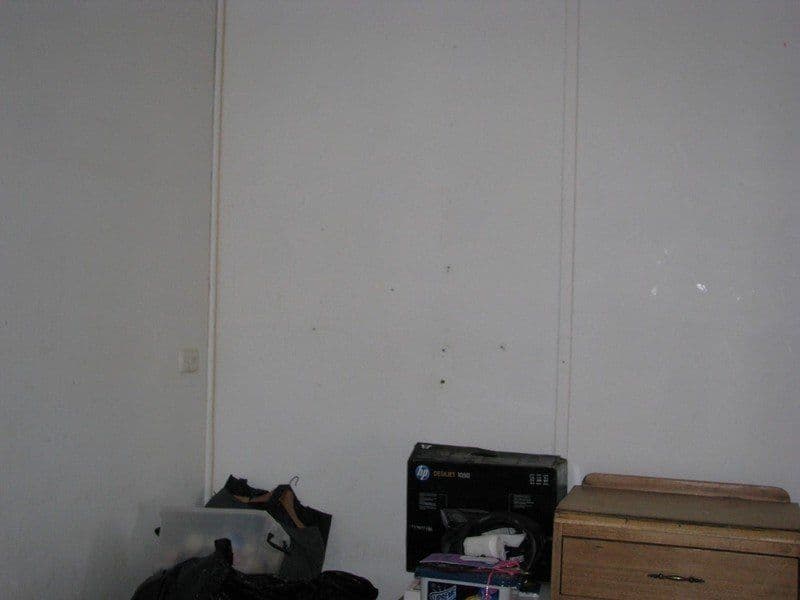 108 Piper Street, BROKEN HILL NSW 2880, Broken Hill - Thumbnail 7