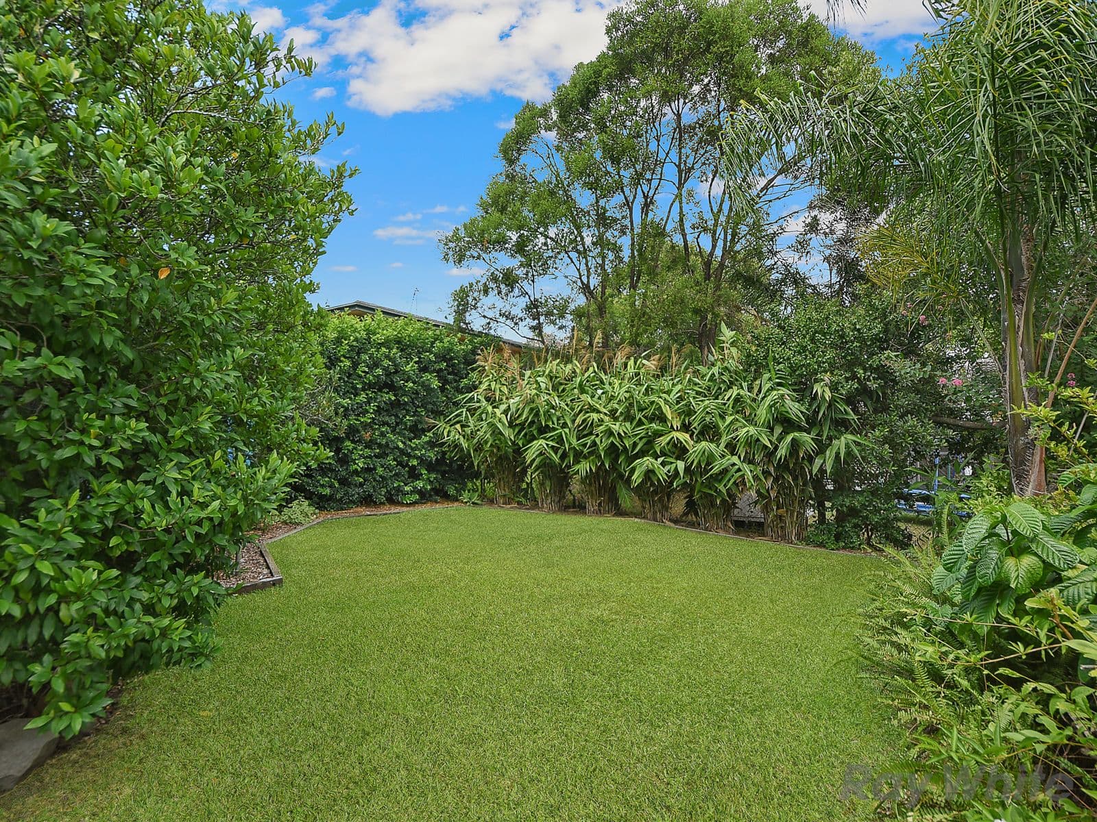 125 Hurdcotte Street, Gaythorne QLD 4051, Gaythorne - Thumbnail 4