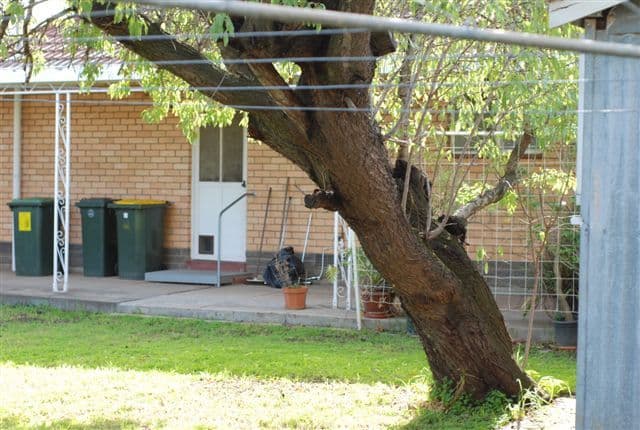 39 Dorothy Street, BRAHMA LODGE SA 5109, Brahma Lodge - Thumbnail 7